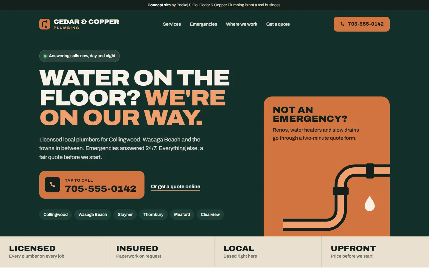 Concept home page for Cedar & Copper Plumbing, a made-up plumbing company